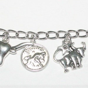 Taurus Charm Bracelet, Stainless Steel Zodiac Charm Bracelet, Taurus Birthday Charm Bracelet, Taurus Charm Bracelet, Astrology Bracelet