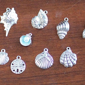 May include: A collection of silver-toned seashell charms in various shapes and sizes. The charms include a starfish, a sand dollar, and several different types of shells. Each charm has a small loop for attaching to a necklace or bracelet.