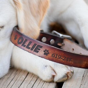 Dog Collar Personalized Dog Collar - Laser Engraved Dog Collar - Leather Dog Collar - Personalized Leather Dog Collar - Name Dog Collar