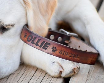 Dog Collar Personalized Dog Collar - Laser Engraved Dog Collar - Leather Dog Collar - Personalized Leather Dog Collar - Name Dog Collar