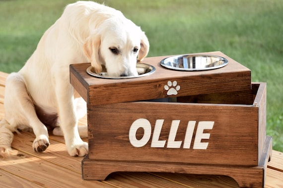 etsy dog feeder