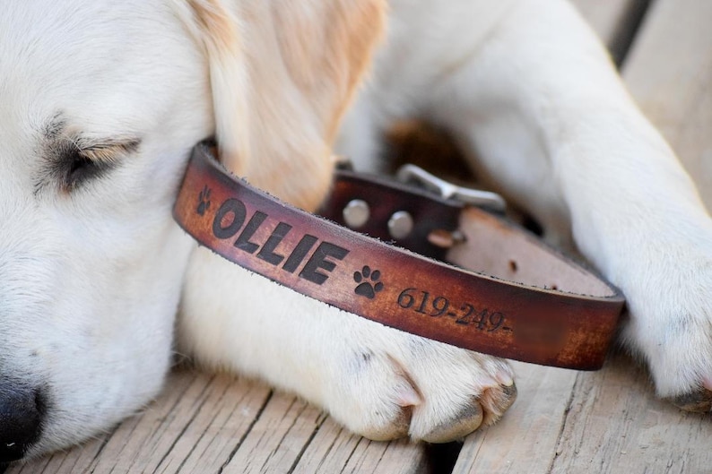 Laser Engraved Dog Collar Leather Dog Collar Personalized Leather Dog Collar Name Dog Collar Dog Collar Personalized Dog Collar