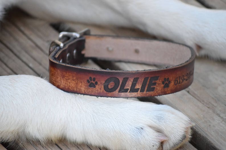 Laser Engraved Dog Collar Leather Dog Collar Personalized Leather Dog Collar Name Dog Collar Dog Collar Personalized Dog Collar