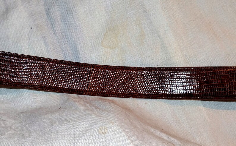 May include: A brown leather belt with a textured, lizard-like pattern.