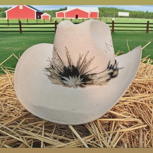 Stetson Roadrunner Hat - Etsy display picture 3