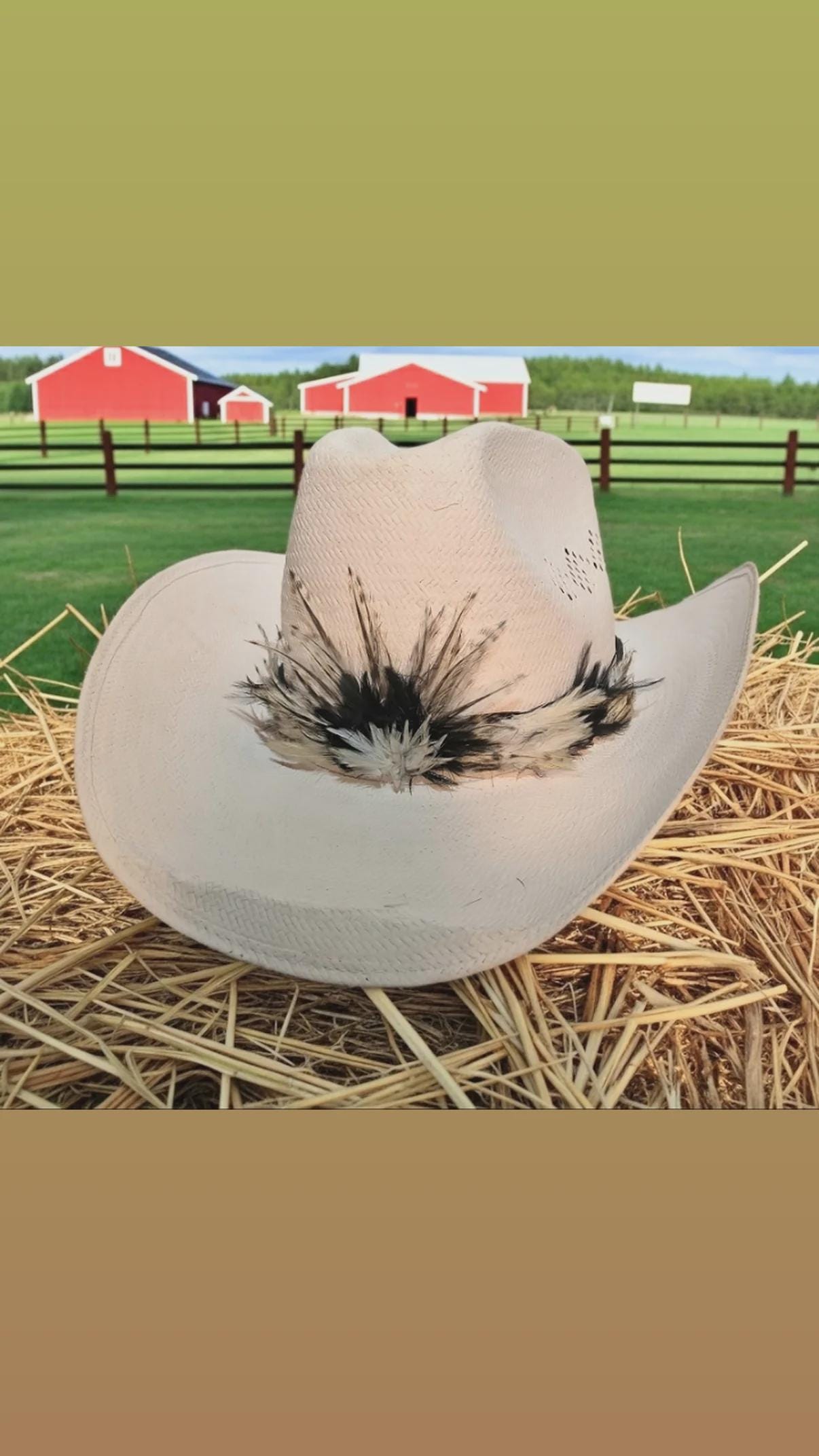 Stetson Roadrunner Hat - Etsy display picture 2