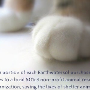 Puede incluir: Primer plano de una pata de gato blanca. El texto "A portion of each Earthwatersol purchase goes to a local 501c3 non-profit animal rescue organization, saving the lives of shelter animals." es visible debajo de la pata.