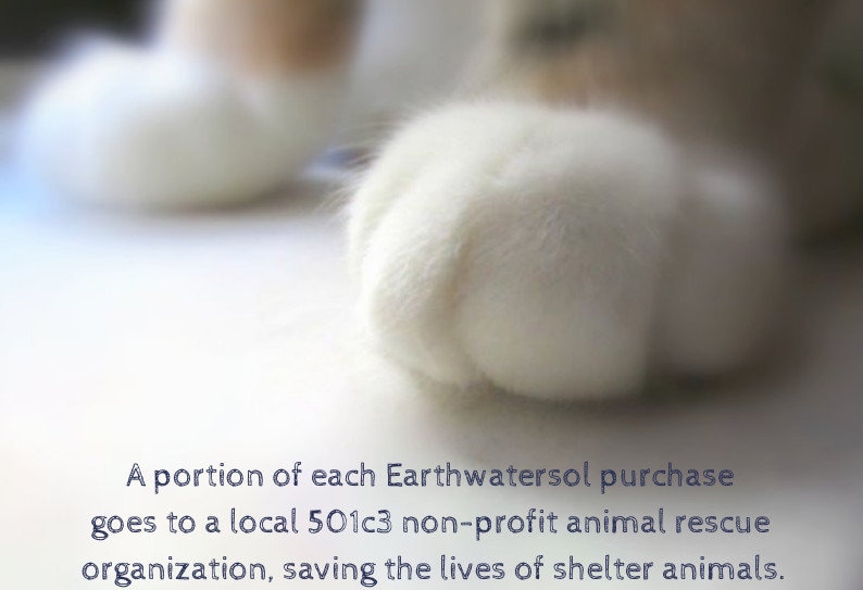 Puede incluir: Primer plano de una pata de gato blanca. El texto "A portion of each Earthwatersol purchase goes to a local 501c3 non-profit animal rescue organization, saving the lives of shelter animals." es visible debajo de la pata.