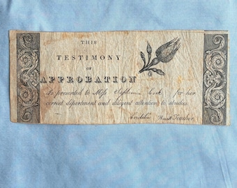 Rare Very Early Reward of Merit
