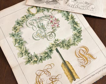 Encaje serigrafiado a mano de la década de 1820. Grabados de bordado a color poco comunes.