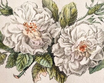 Revista femenina con raros grabados florales bordados a color de la década de 1820