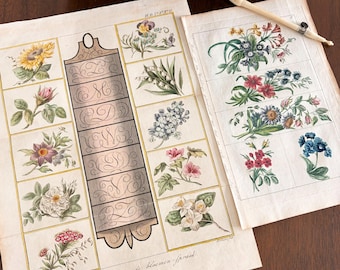 Estampados de bordado floral a color poco comunes de la década de 1820.