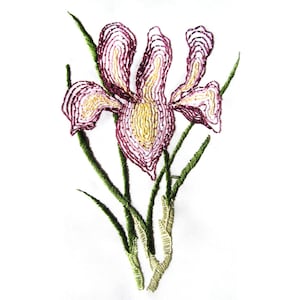 Iris, 1 of set of 4  flowers of Israel embroidery kit no. 20. made in Israel, freestyle, incl. threads, needle, instructions and stitches
