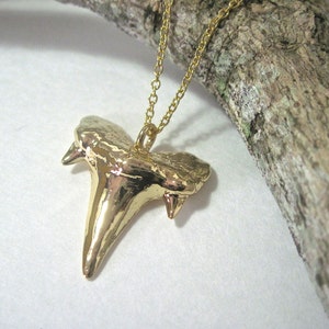 Shark Tooth Necklace.