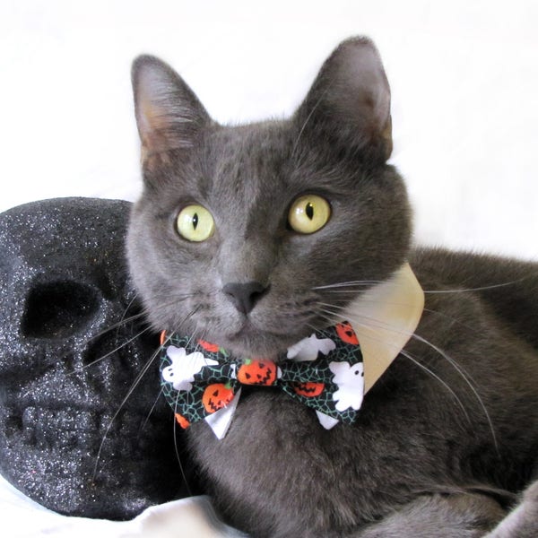 Pumpkin and Ghost Bow Tie, Necktie, or Bow on a Shirt Style Collar for both Dogs & Cats