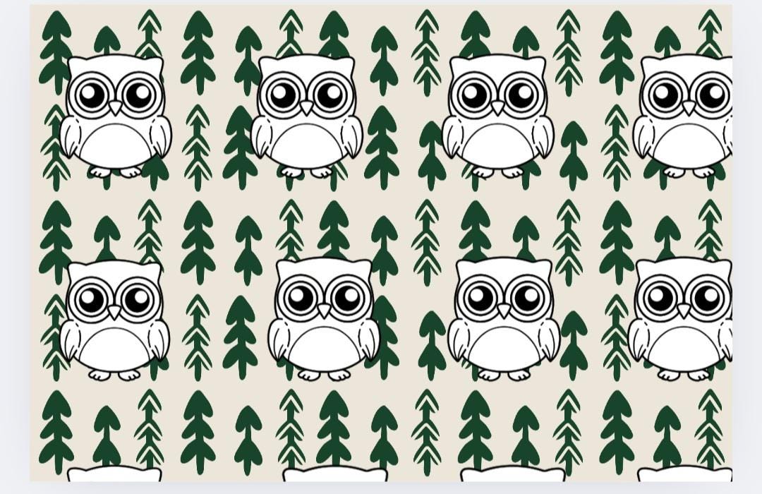 Owl Gift wrap