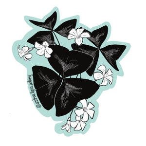 Shamrock Oxalis sticker