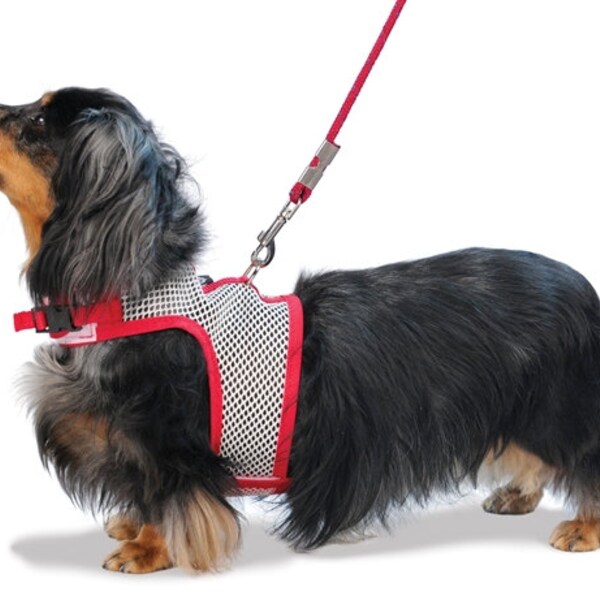 Small Dog Harness Etsy