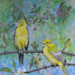 May include: Two yellow birds perched on a branch with green leaves and purple berries. The birds are facing different directions. The background is a blue and green watercolor wash.