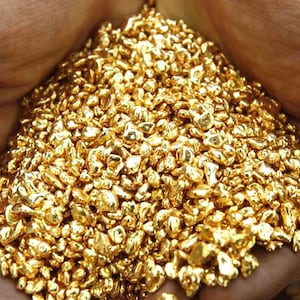 1 Dwt 24K fineMedical Grade Gold .9999+ clean pure super refined shot-Bullion-not scrap