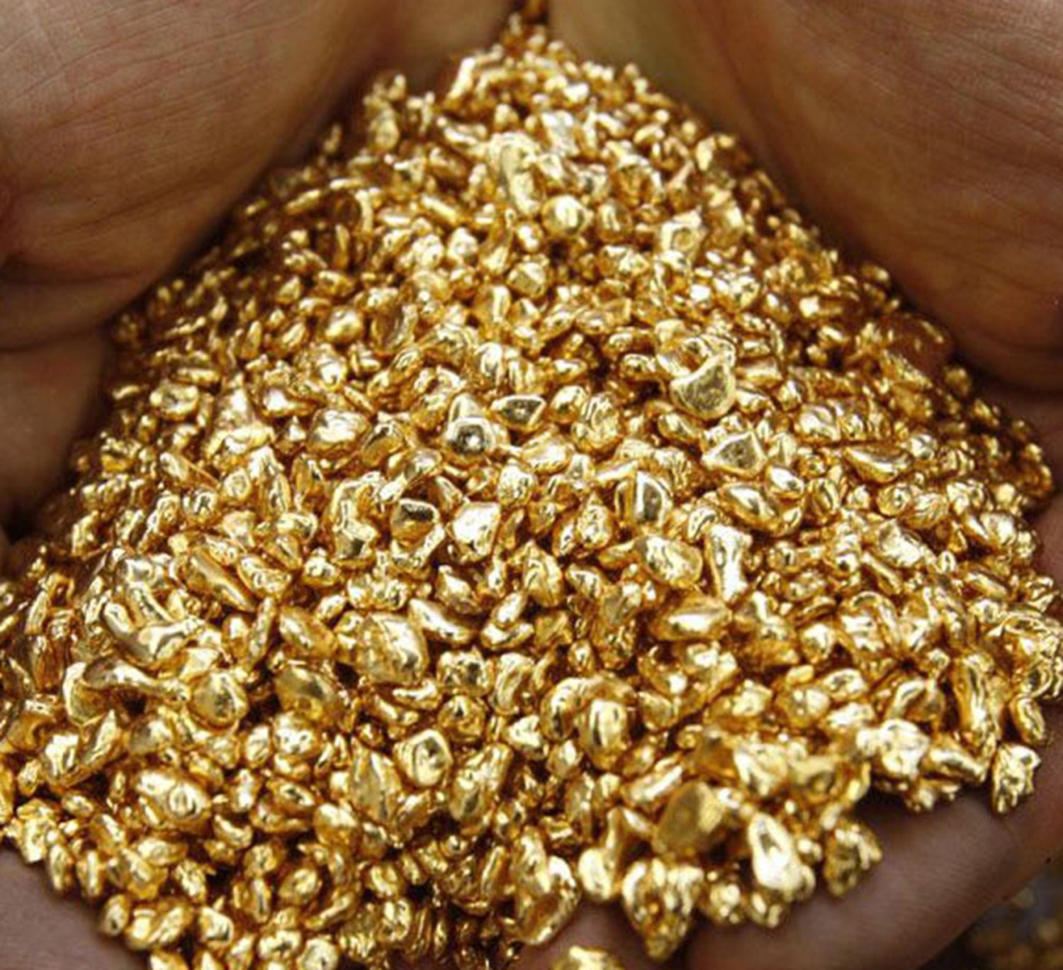 1.550 GRAMS ALASKAN YUKON BC NATURAL PURE GOLD NUGGETS #4 MESH