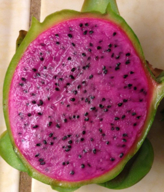 What Makes Dragon Fruit a Superfood? – Ancient Choice