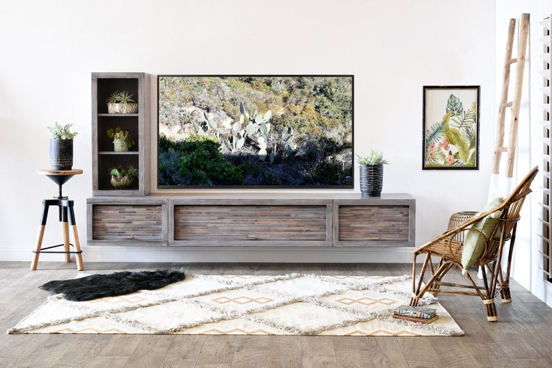 May include: A modern living room setup featuring a large wooden entertainment center with a mounted TV. The room includes a patterned rug, a wicker chair, and decorative plants in pots, creating a stylish and inviting space.