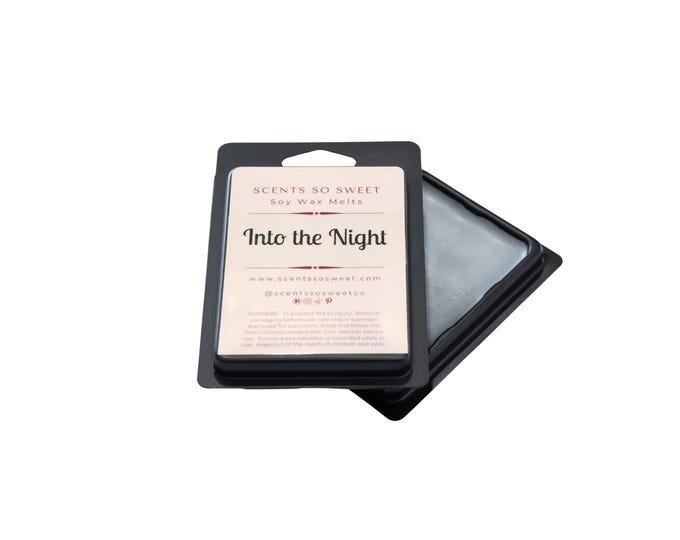 Into the Night Soy Wax Melt