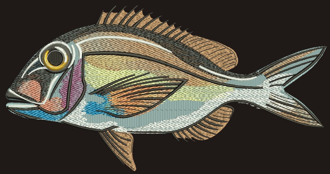 Fish Embroidery Design Instant Download Digital File Etsy