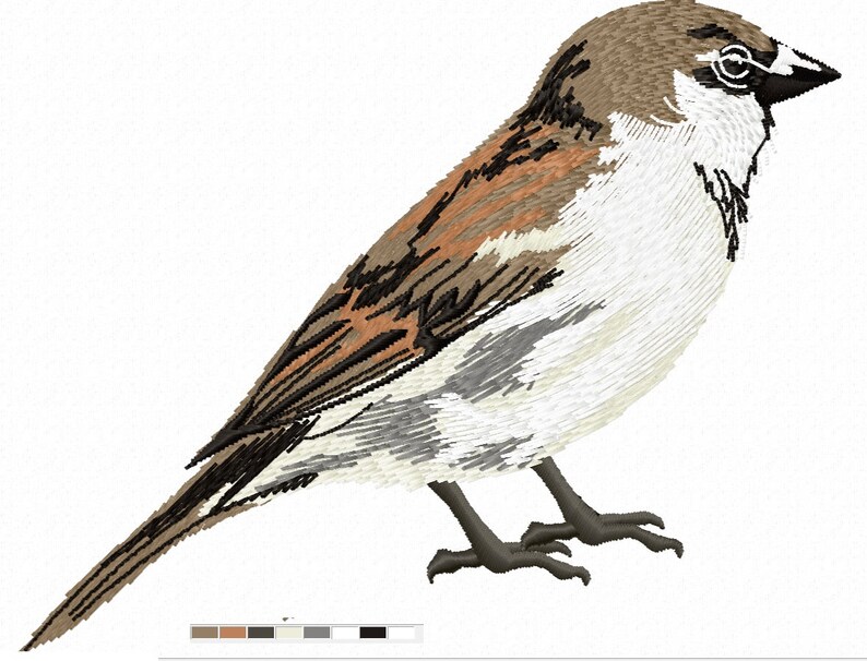 Sparrow Machine Embroidery Design Tested Etsy