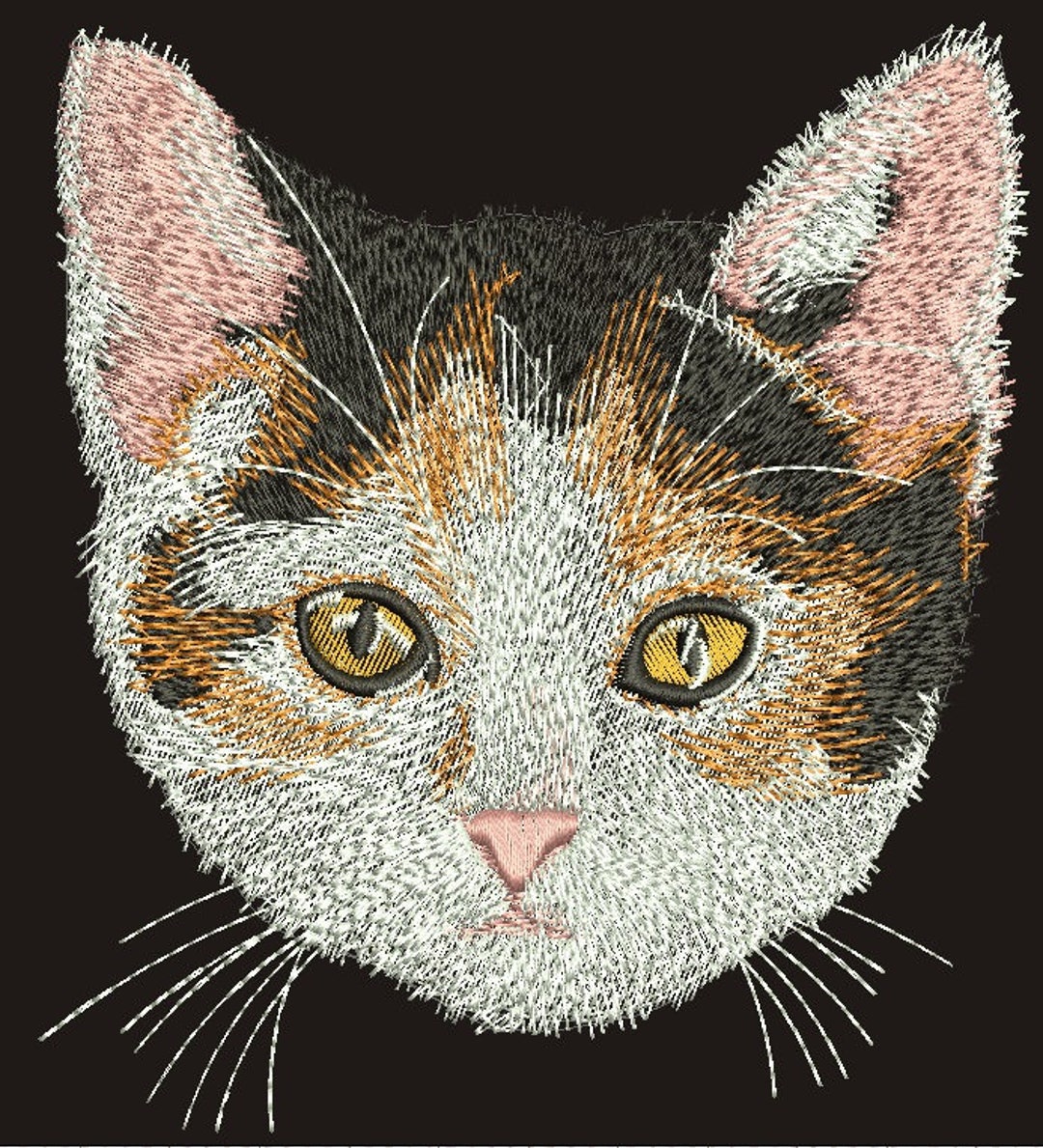 funny-boy-cat-machine-embroidery-designs-tested-etsy