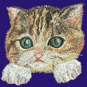 ポケットの猫 - 機械刺繍デザイン