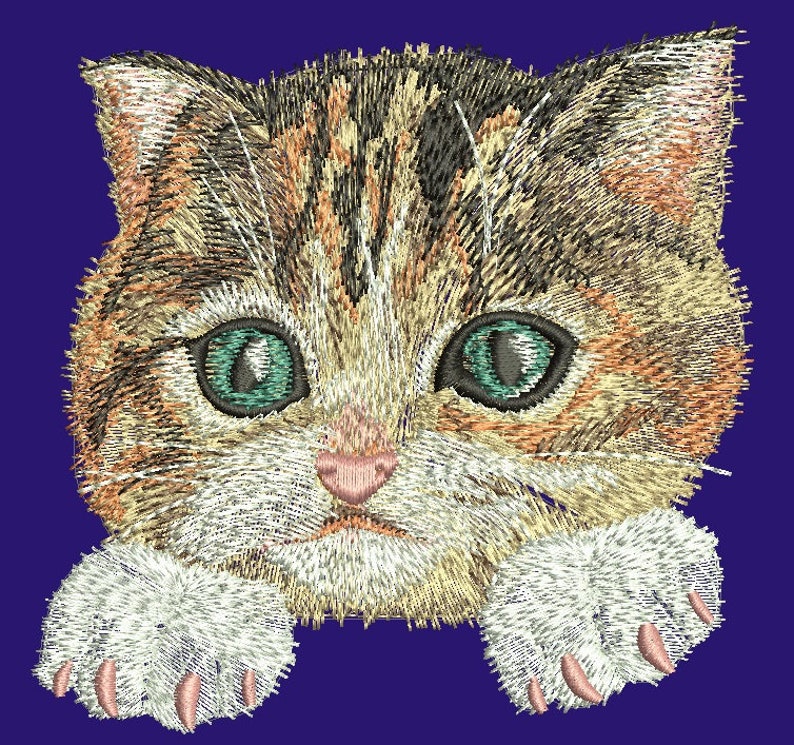 Cat for Pocket Machine Embroidery Designs Etsy