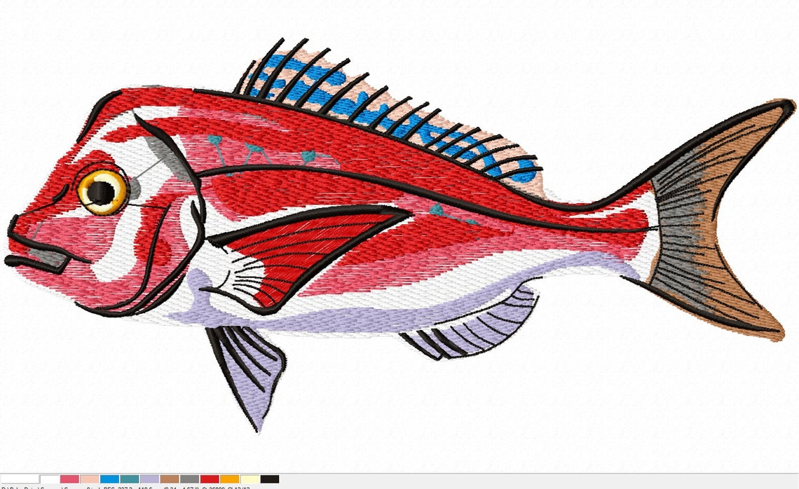 Red Snapper Fish Embroidery Design Instant Download Digital | Etsy