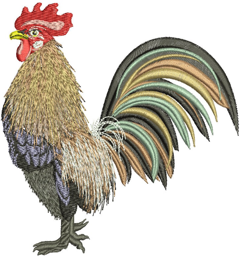 Realistic rooster machine embroidery design  etsy