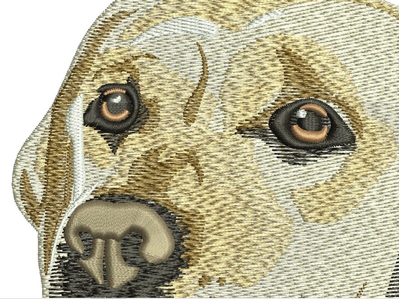 Labrador retriever machine embroidery design  etsy Labrador retriever machine embroidery design  etsy