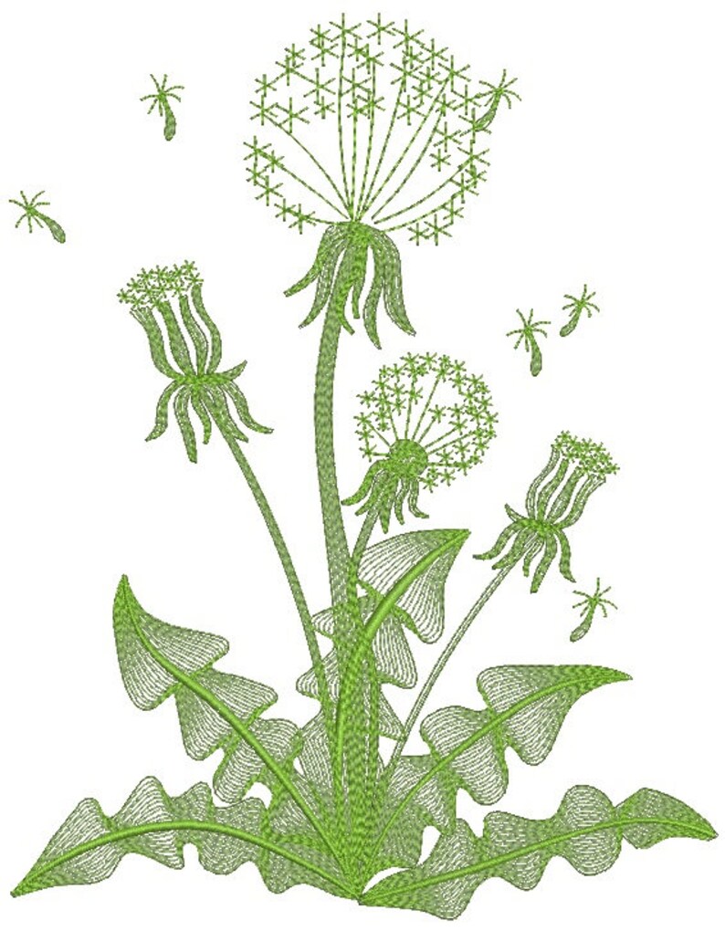 Dandelion machine Embroidery Designs three sizes Etsy