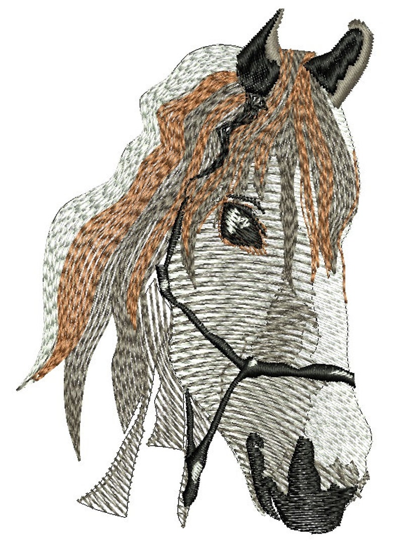 Horse Machine Embroidery Design Etsy