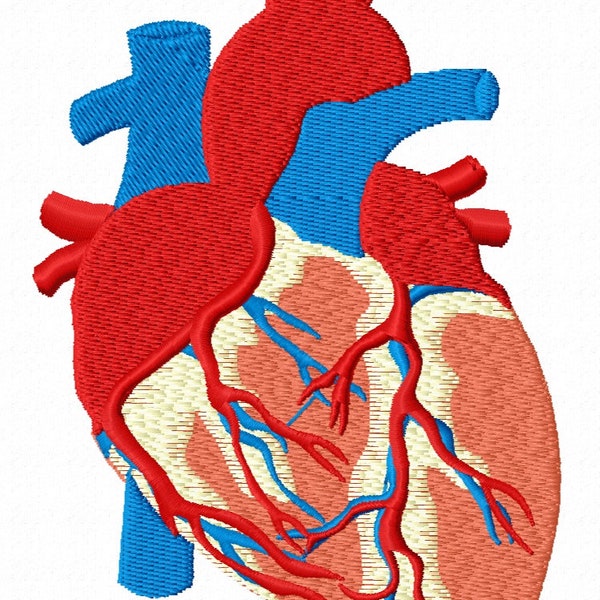 realistic Human Heart Machine Embroidery Design / Instant Download