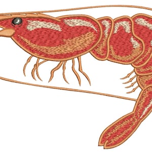 realistic shrimp  Machine Embroidery Design