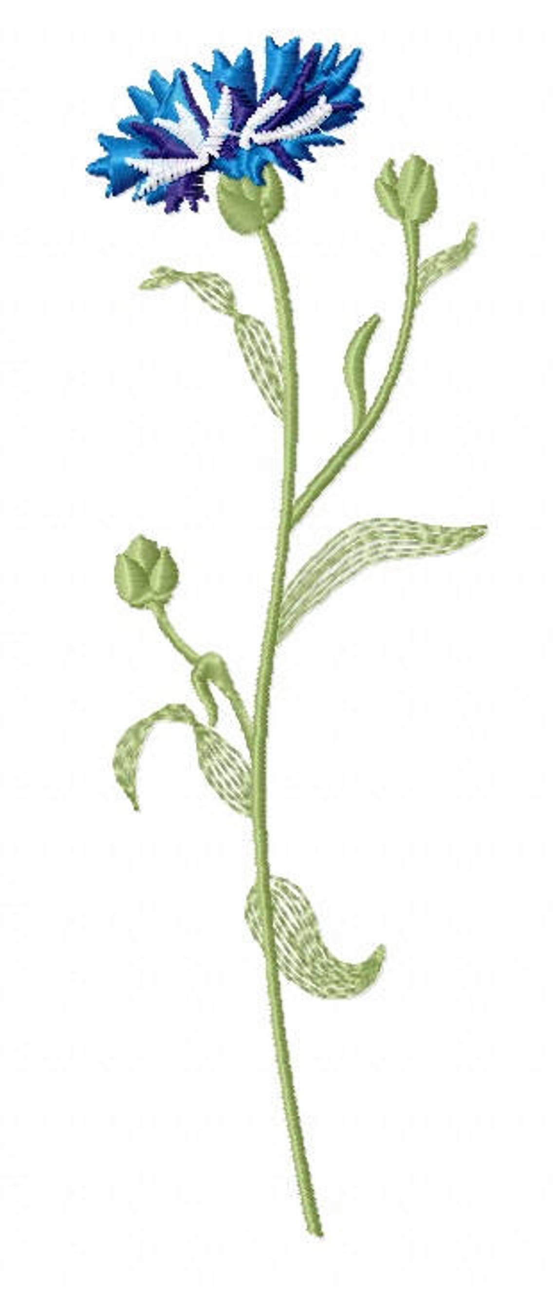 Cornflowers Machine Embroidery Design Etsy UK
