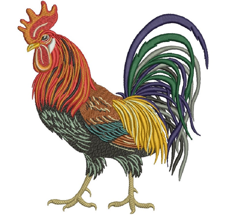 Rooster machine embroidery design  etsy