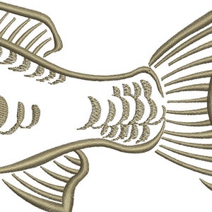 mirror carp common carp Cyprinus carpio CARP fish Machine Embroidery Design instant download image 3