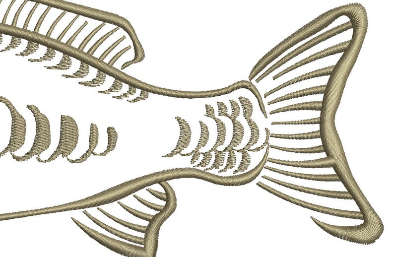 mirror carp common carp Cyprinus carpio CARP fish Machine Embroidery Design instant download image 3