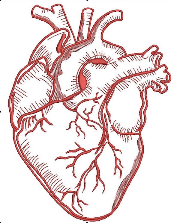 Realistic Human Heart Machine Embroidery Design / Instant Etsy