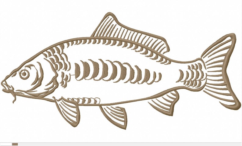 mirror carp common carp Cyprinus carpio CARP fish Machine Embroidery Design instant download image 6