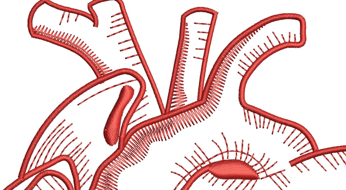 Realistic Human Heart Machine Embroidery Design / Instant Etsy