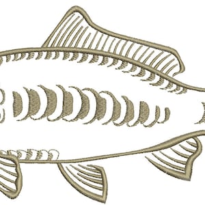 mirror carp common carp Cyprinus carpio CARP fish Machine Embroidery Design instant download image 1