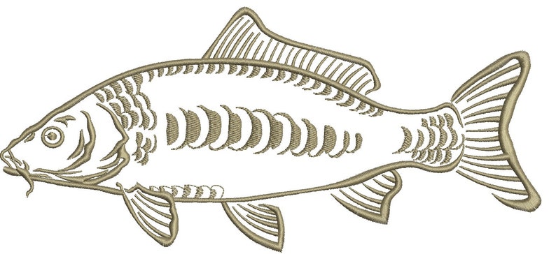 mirror carp common carp Cyprinus carpio CARP fish Machine Embroidery Design instant download image 1