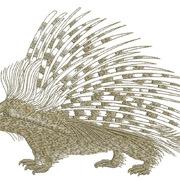 porcupine Machine Embroidery Designs INSTANT DOWNLOAD